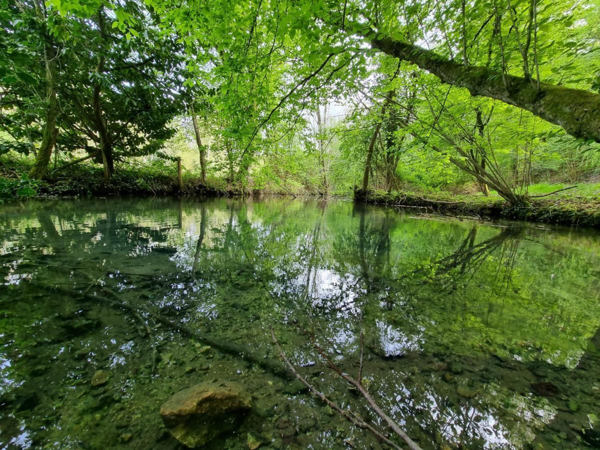 Le Domaine Du Cerf - Gites, Nature Et Spa Saint-Ouen-les-Vignes Exterior photo
